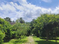 -中国科学院西双版纳热带植物园