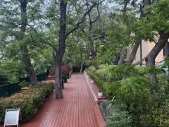 -青岛市江苏路基督教堂