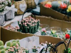 -循礼门鲜花花市(武汉循礼门店)