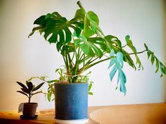 -fishtank鱼缸咖啡(三山街店)