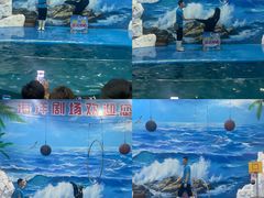 -左海海底世界