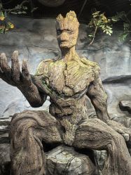 -Zoolung Zoolung动物主题公园(海信广场店)