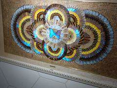 -上海昆虫博物馆