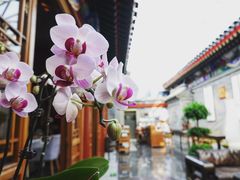 大堂-北京古城老院厉晓麟精致菜