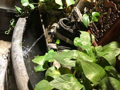 -谭氏兄弟火锅(中和店)