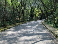 -滴水岩森林公园