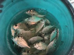 -碧桂园十里银滩