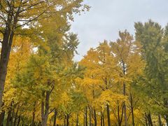 -山东大学(趵突泉校区)
