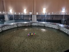 -嘉佑温泉水世界