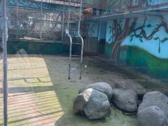 -宁波野生动物园