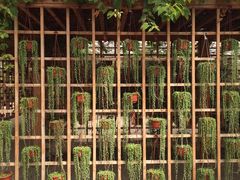 -万源龙顺度假庄园生态观光园