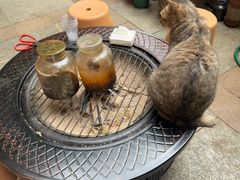 -鱼乐岛餐厅·户外花园主题餐厅