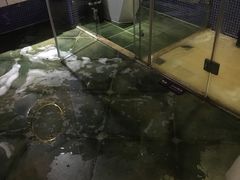 -天鹅恋主题酒店(积玉桥地铁站店)