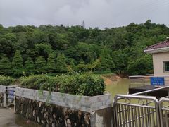 -中山市树木园