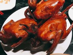 红烧乳鸽-大鸽饭(北京路店)