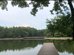 -象山森林公园