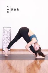 点击看大图 -Y+U遇瑜伽·普拉提