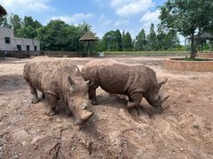 -鄂尔多斯野生动物园