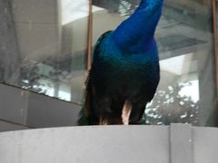 -鄂尔多斯野生动物园