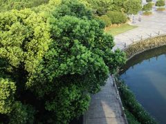 android_upload_pic-南昌青山湖风景区