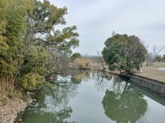 -良渚古城遗址公园