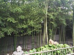 -王家大院