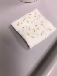 -白月光皮肤管理·德国LDM