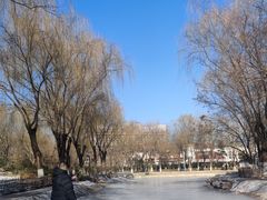 -丰台科技园生态主题公园