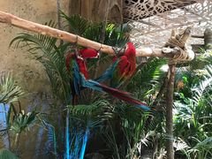 -杭州开元森泊度假乐园