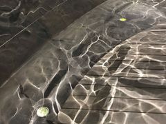 -张之洞与武汉博物馆