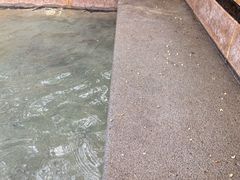 -咸宁万豪温泉谷度假区