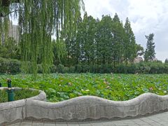 -黄兴公园