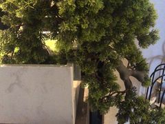 -大唐盲人按摩中心(科大先研院店)