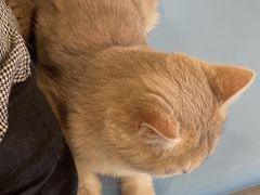 -萌兽医馆·犬猫专科·眼科中心·宠物医院(朝阳门分院)