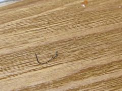 -小红碗老火锅(1958店)