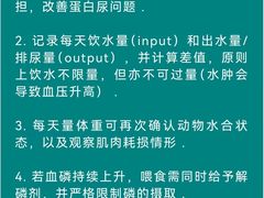 -瑞派申生动物医院·24H夜诊·国际动物医疗中心·骨外科(吴中路店)