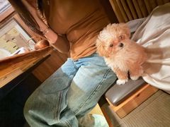 -牛道·和牛九食(市府恒隆广场店)