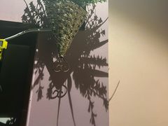 -蓉府金足印象(德阳珠江桥店)