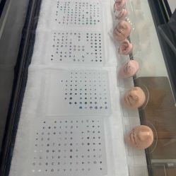 -众刺纹画·纹身·穿孔饰品·海娜定制