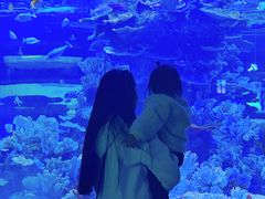 -左海海底世界