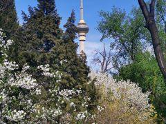 -中央广播电视塔