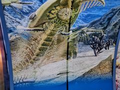 -房山世界地质公园博物馆