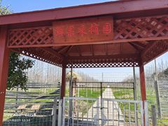 -上海长兴岛郊野公园