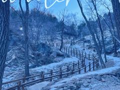 -白水寺森林公园