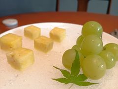 -觀芷隐轩