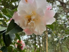 -昆明市金殿名胜区