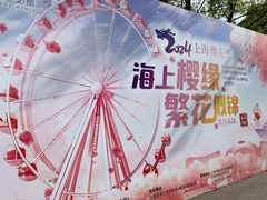 -顾村公园