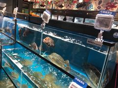 -盒马鲜生(曜一城店)