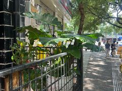 -萨尔瓦多Salvador's