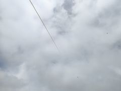 -春花秋色城市公园